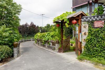 踐行“兩山”理念，大云鎮(zhèn)以花卉經(jīng)濟(jì)激活村集體發(fā)展新動(dòng)能